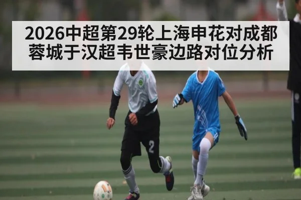 2026中超第29轮上海申花对成都蓉城于汉超韦世豪边路对位分析 | KAIYUNSPORTS